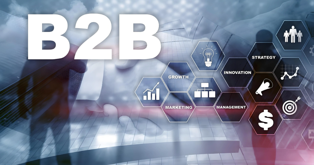 Geo B2b Deepseek Ai website image